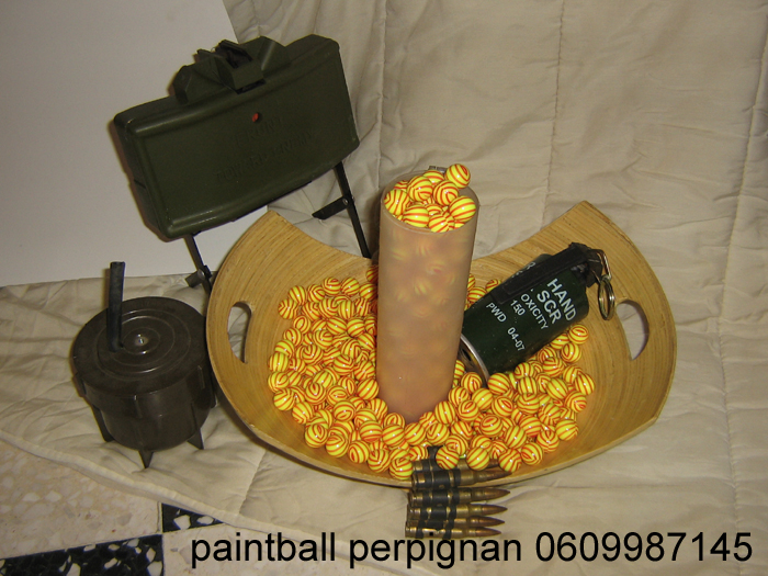laser-perpignan-paintball (73)