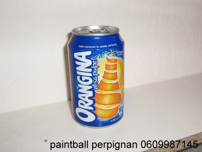 laser-perpignan-paintball (82)