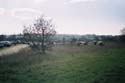 img017