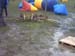 IMG00010