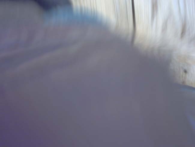 IMG00037